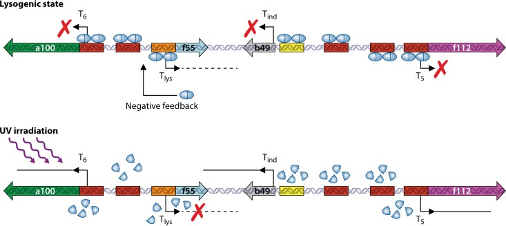 FIG 6