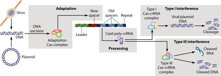 FIG 12