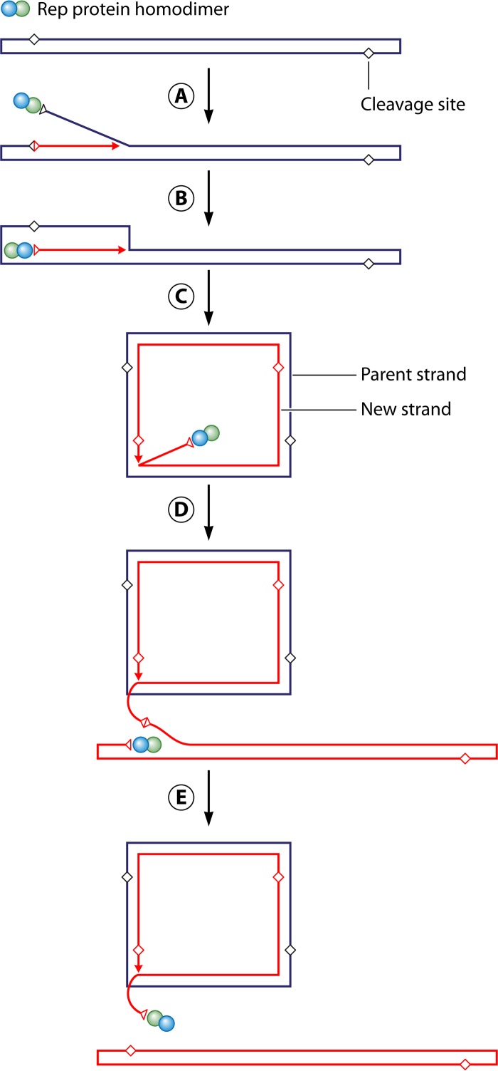 FIG 4