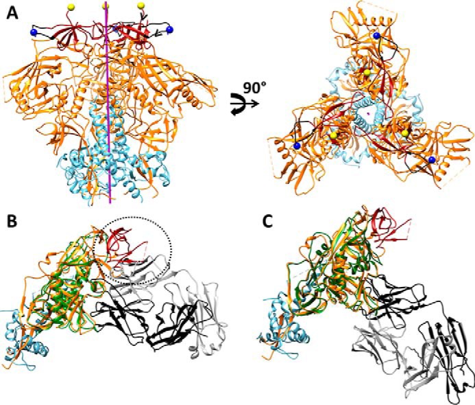 FIGURE 7.