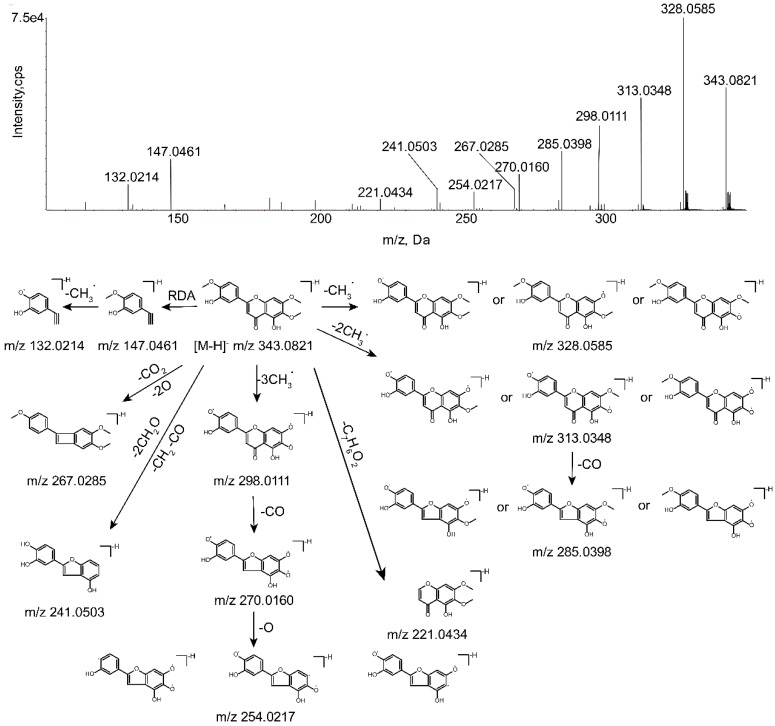 Figure 2