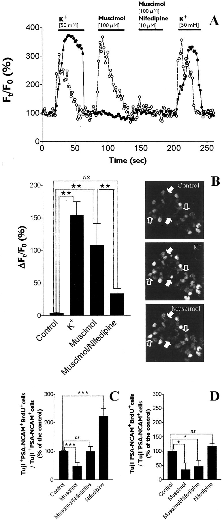 Fig. 9.