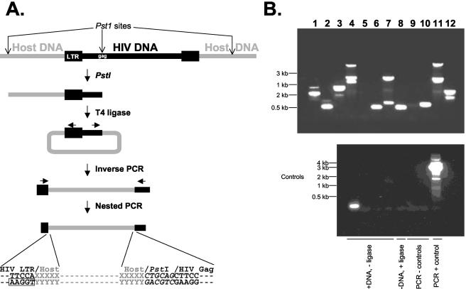 FIG. 2.