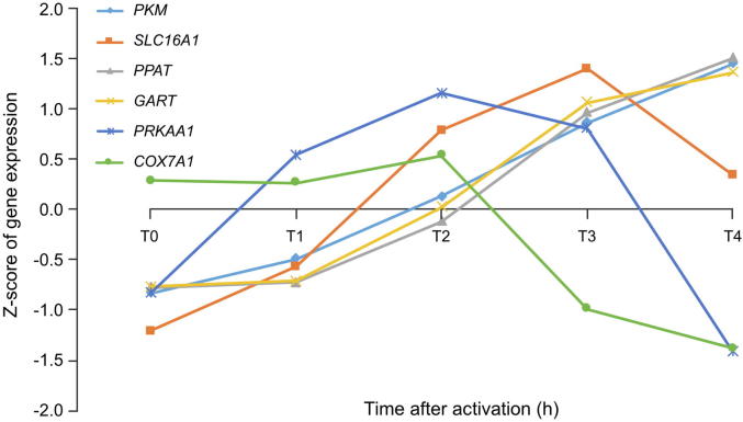 Supplementary Figure S2