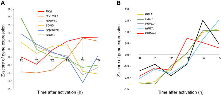 Figure 5