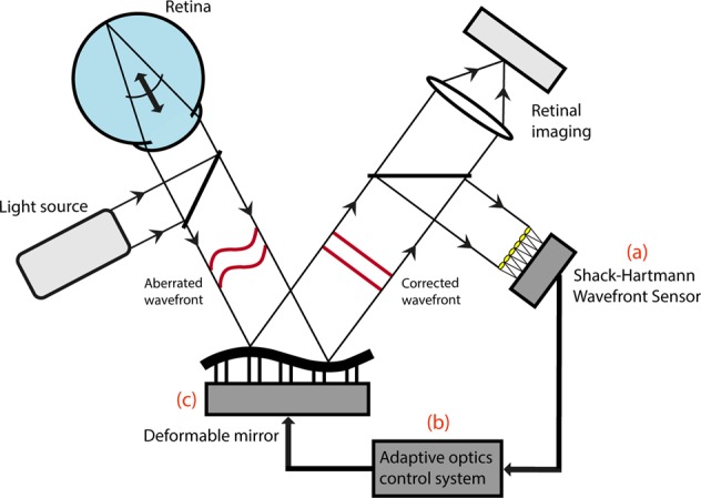 Fig. 1