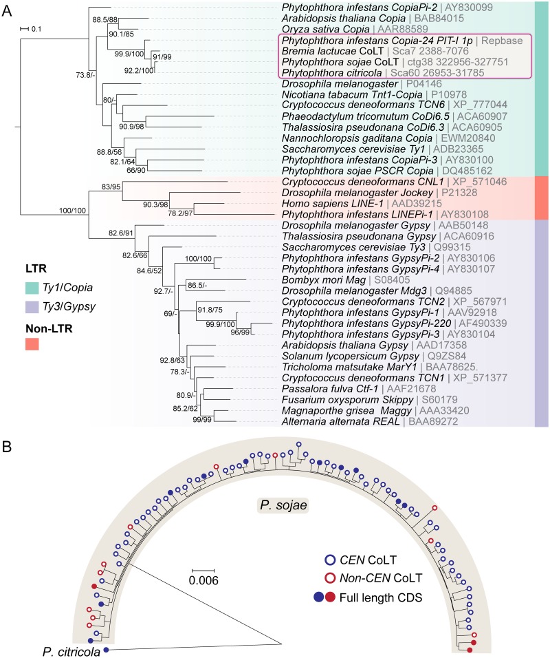 Fig 6