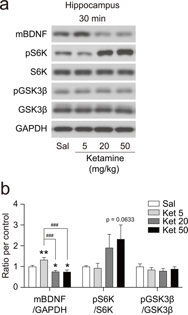 Fig. 2: