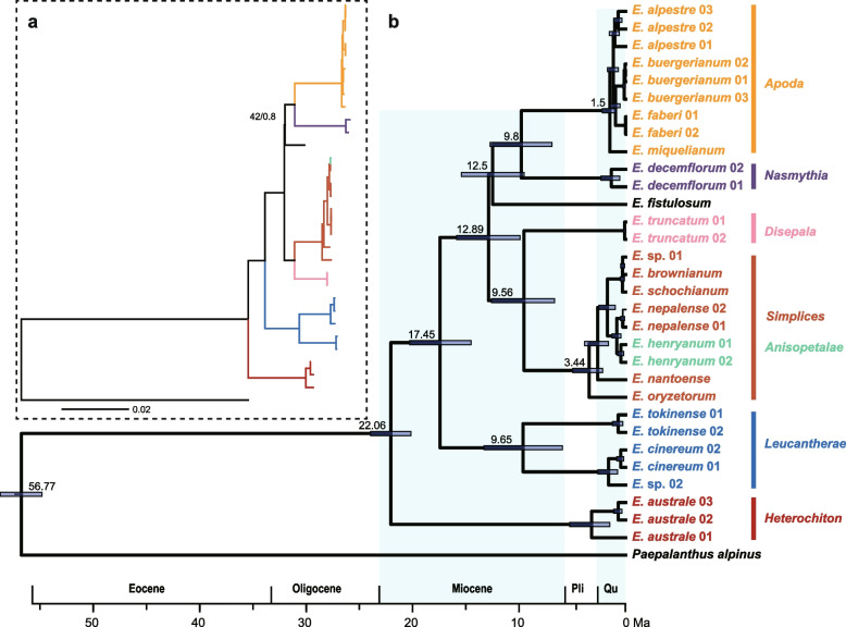 Fig. 6