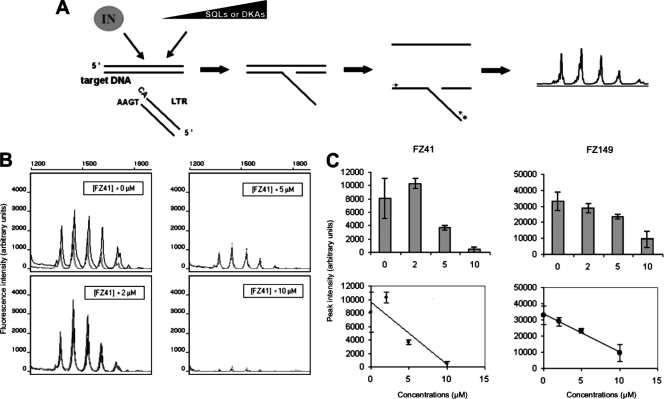 FIG. 2.