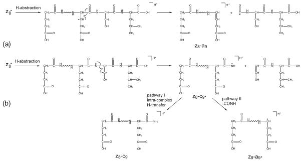 Scheme 4