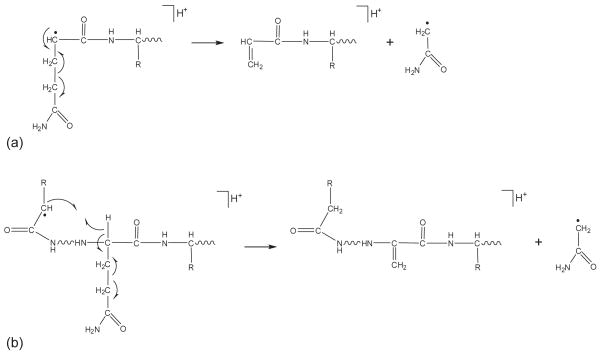 Scheme 3