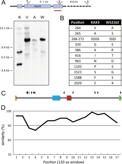 Fig 4