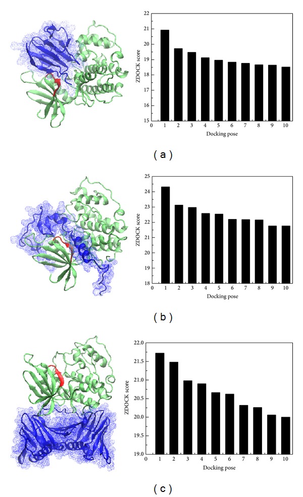 Figure 7