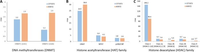 FIG 6