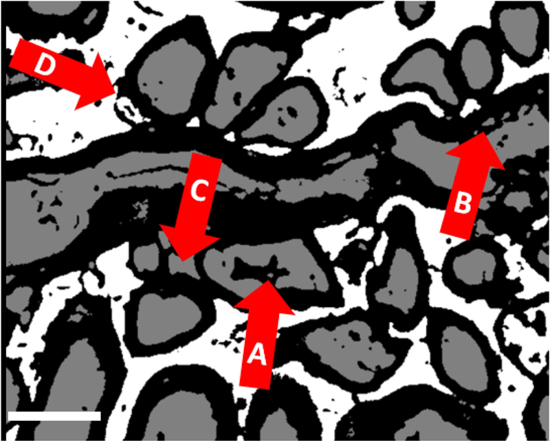 Figure 1 -