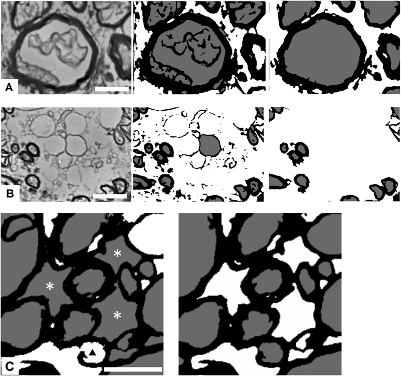 Figure 4 -