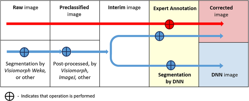 Figure 2 -