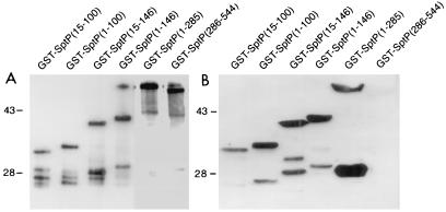 FIG. 8