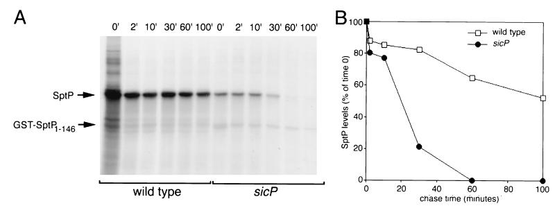 FIG. 6