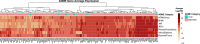 Figure 5: