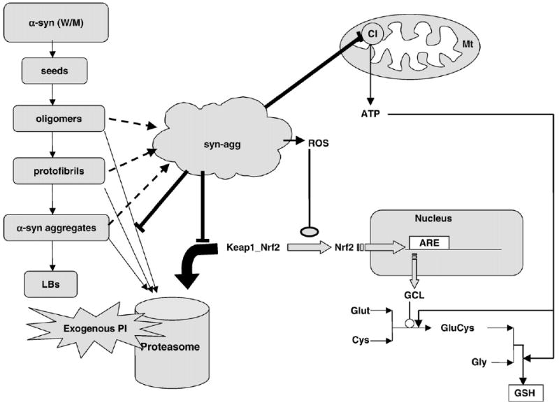 Fig. 10