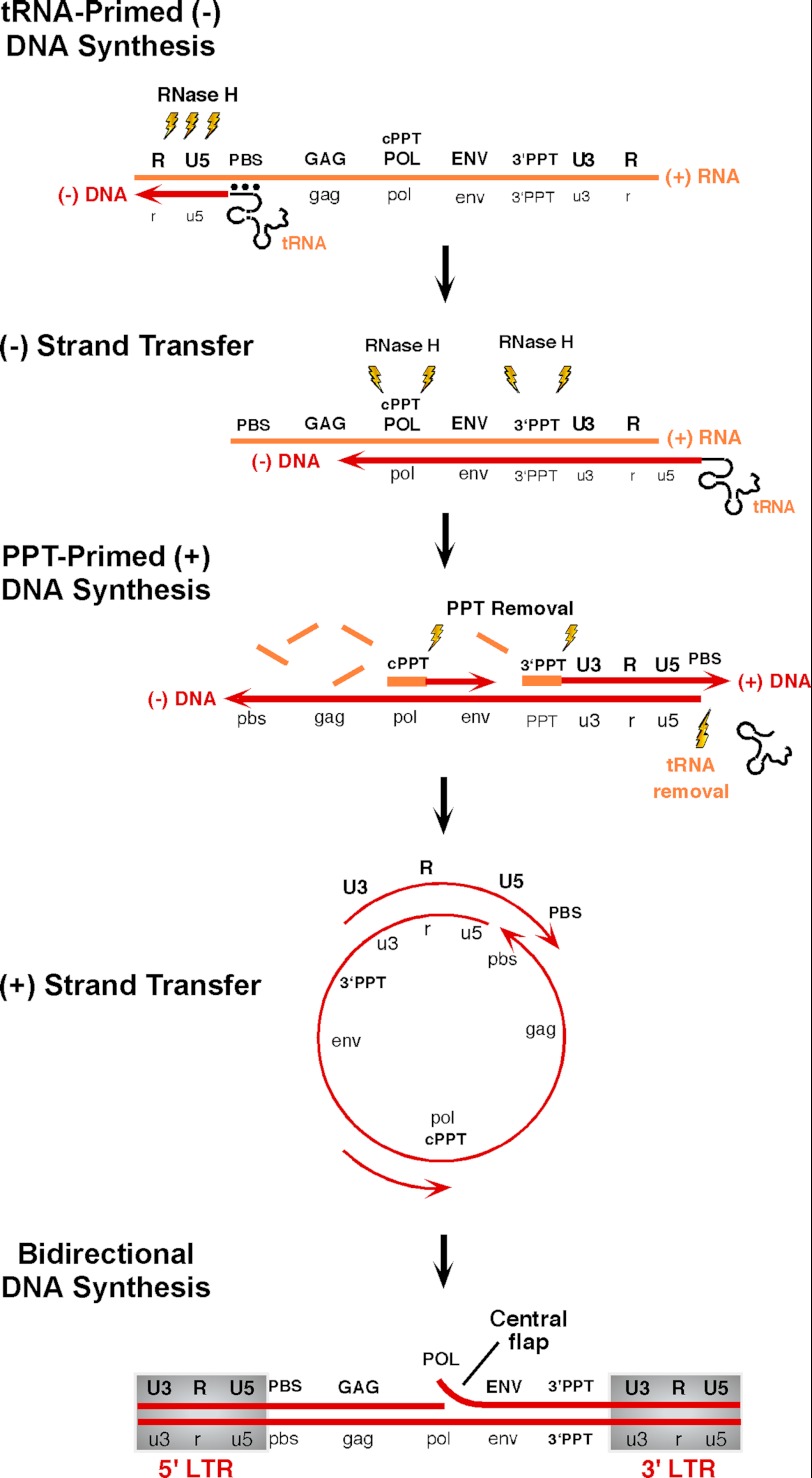 FIGURE 1.