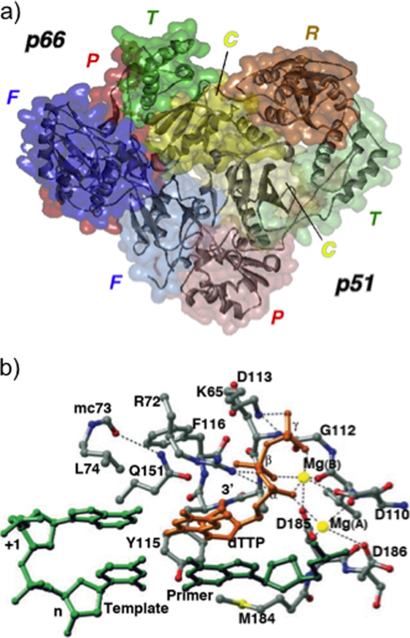 FIGURE 2.