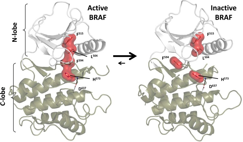 FIG 2