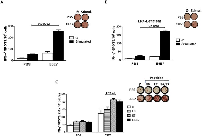 Fig 4