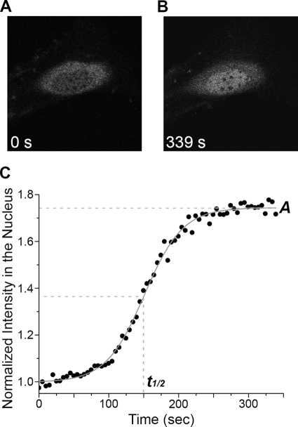 FIGURE 2.