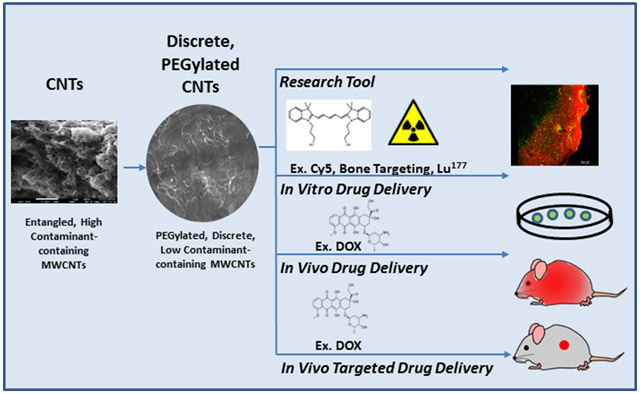 graphic file with name nihms-1530945-f0008.jpg