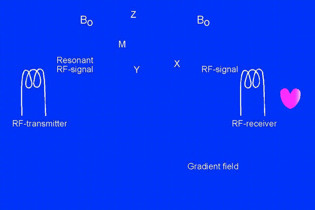 Figure 2:  