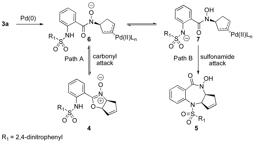 Scheme 3