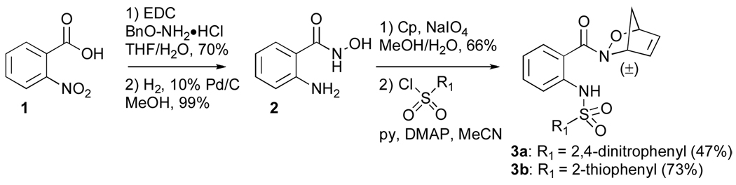 Scheme 1