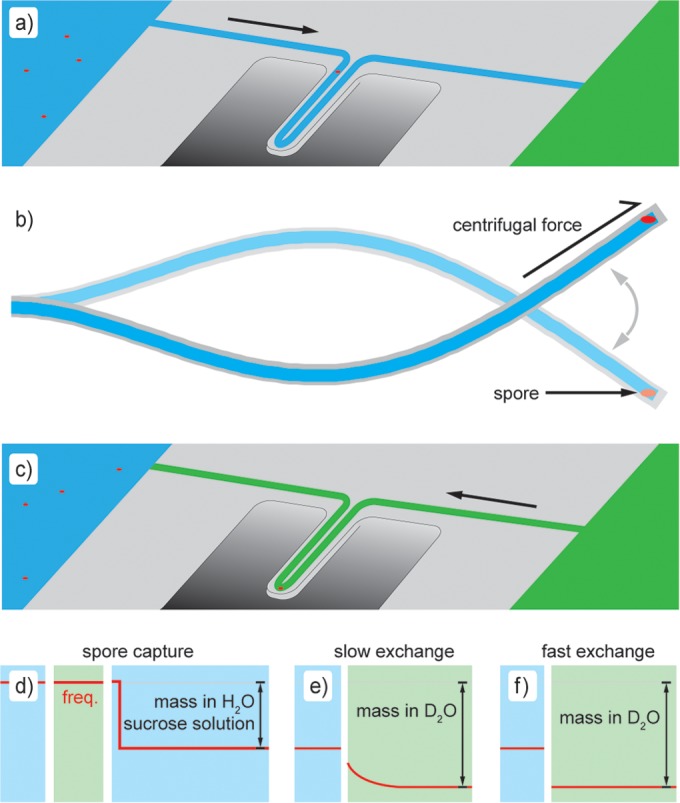 FIG 1