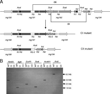 FIG. 6.