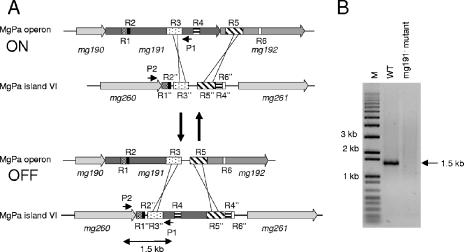 FIG. 7.