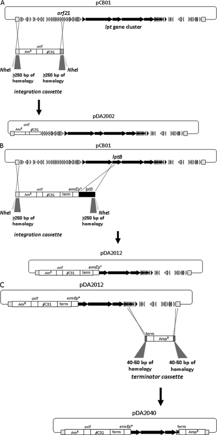 FIG. 2.