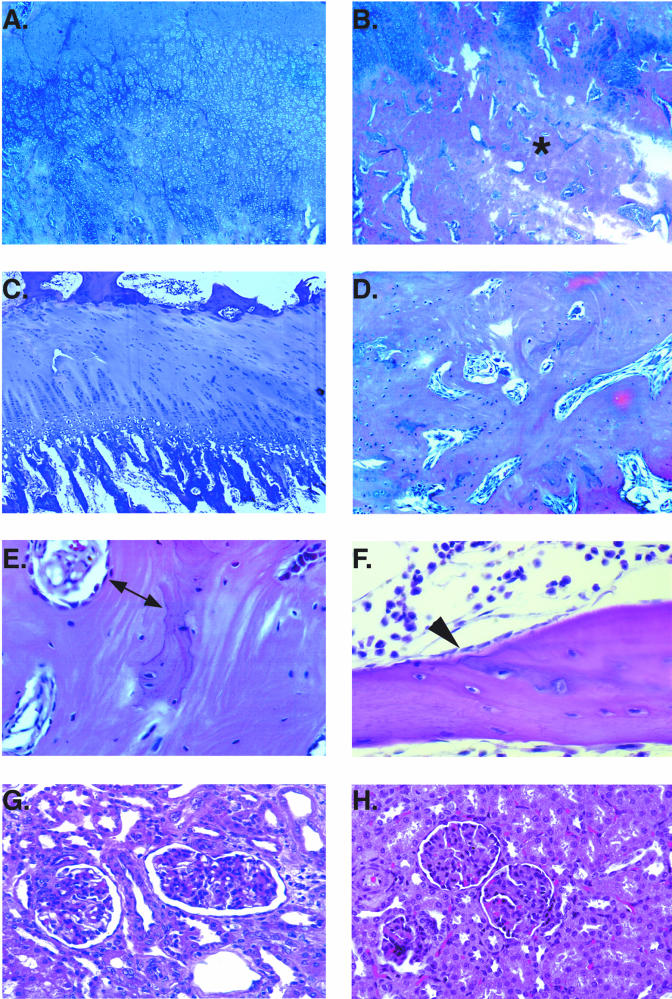 FIG.2.