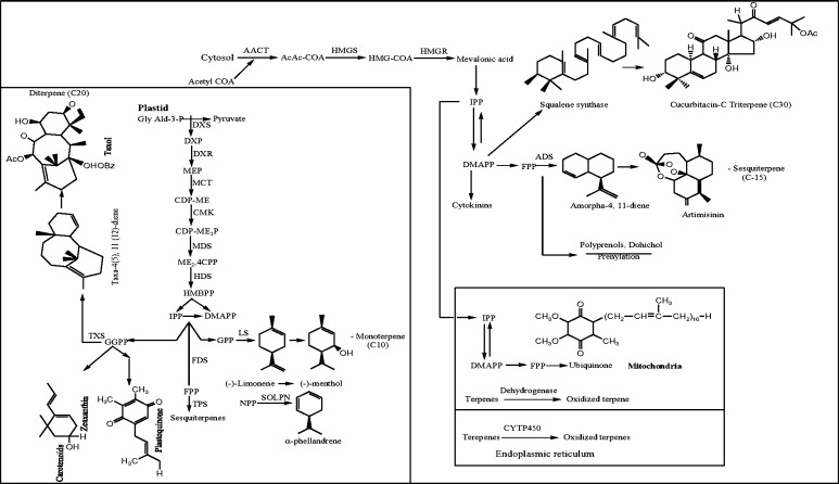 Fig. 1