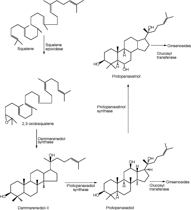 Fig. 3