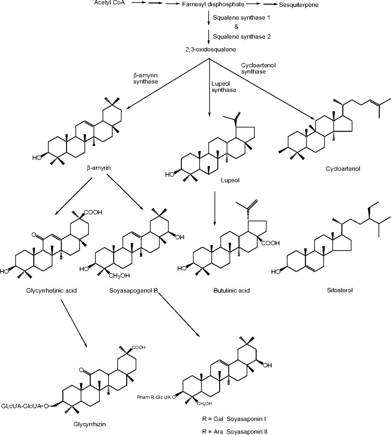 Fig. 4