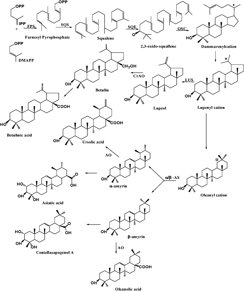 Fig. 2