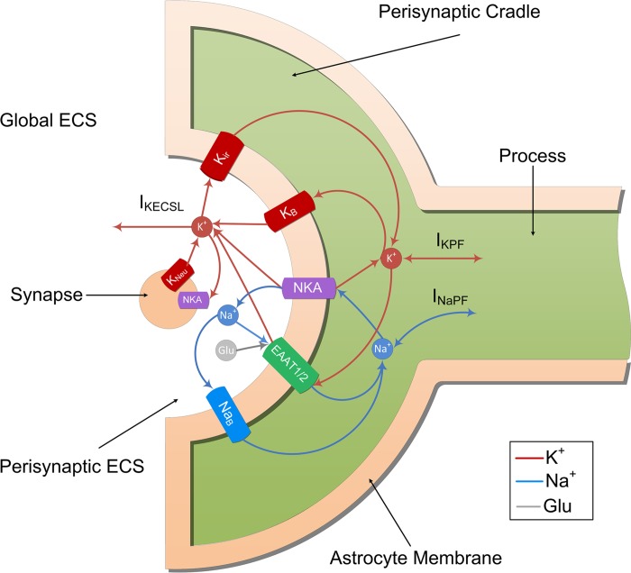 Fig 2