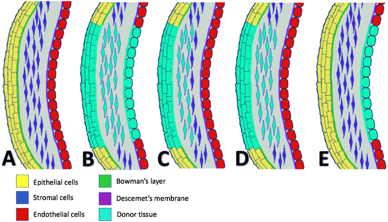 Figure 7.