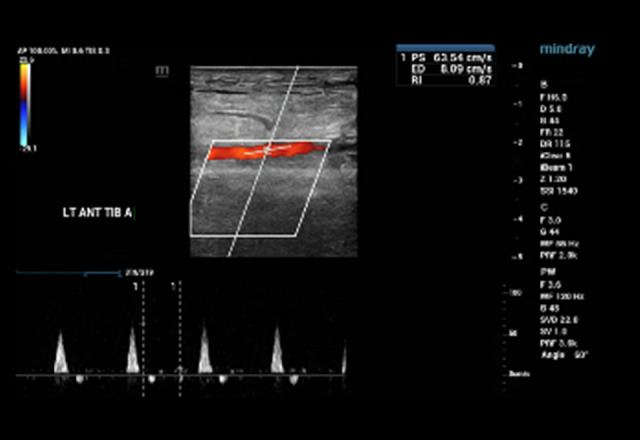 Figure 4.