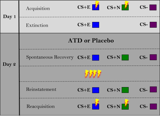 Figure 1