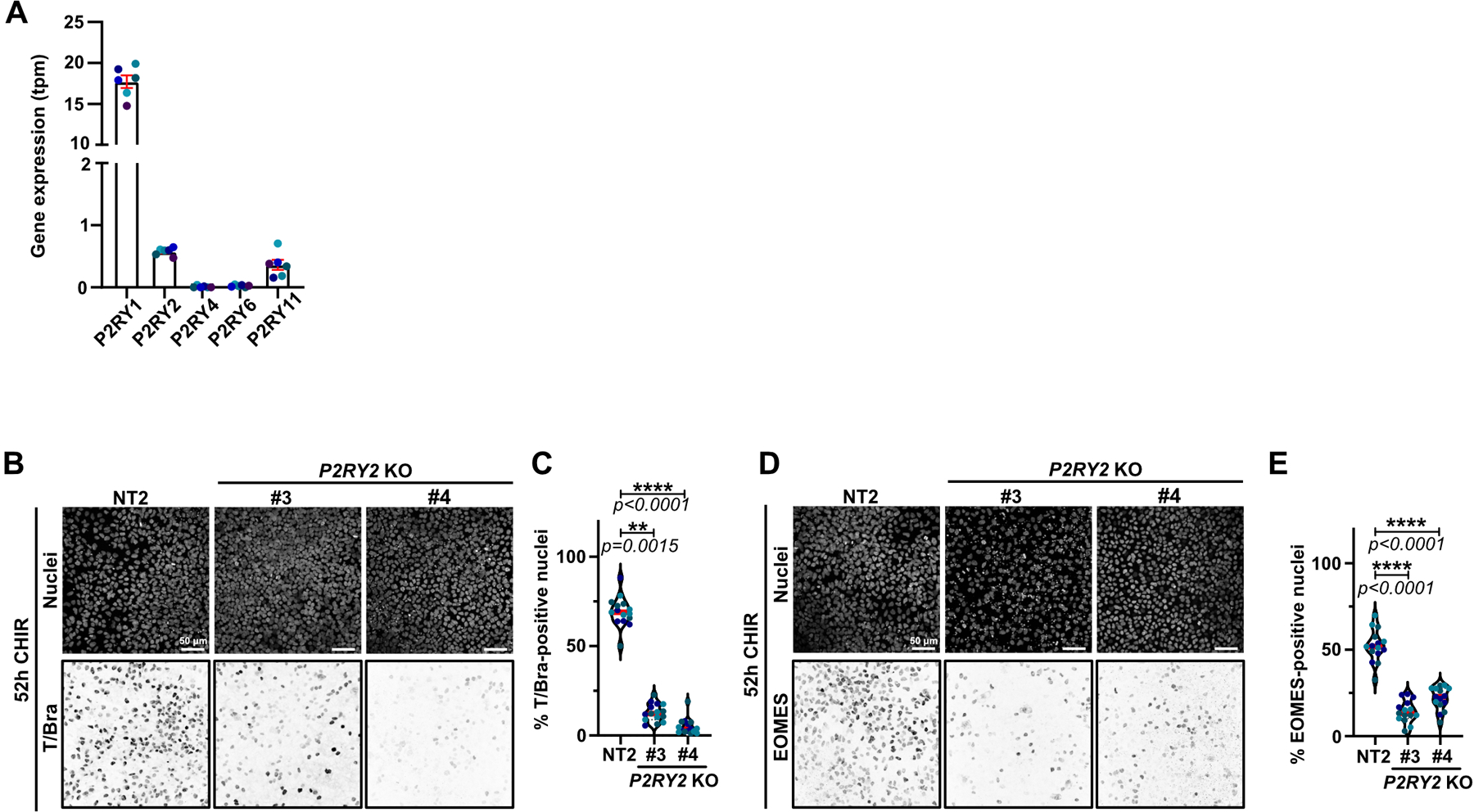 Extended Data Fig. 8