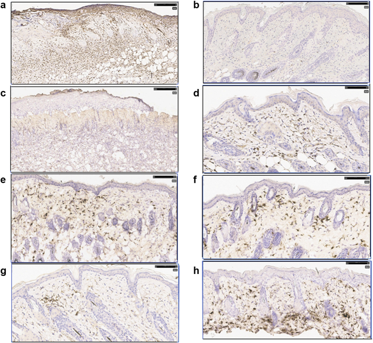 Figure 4